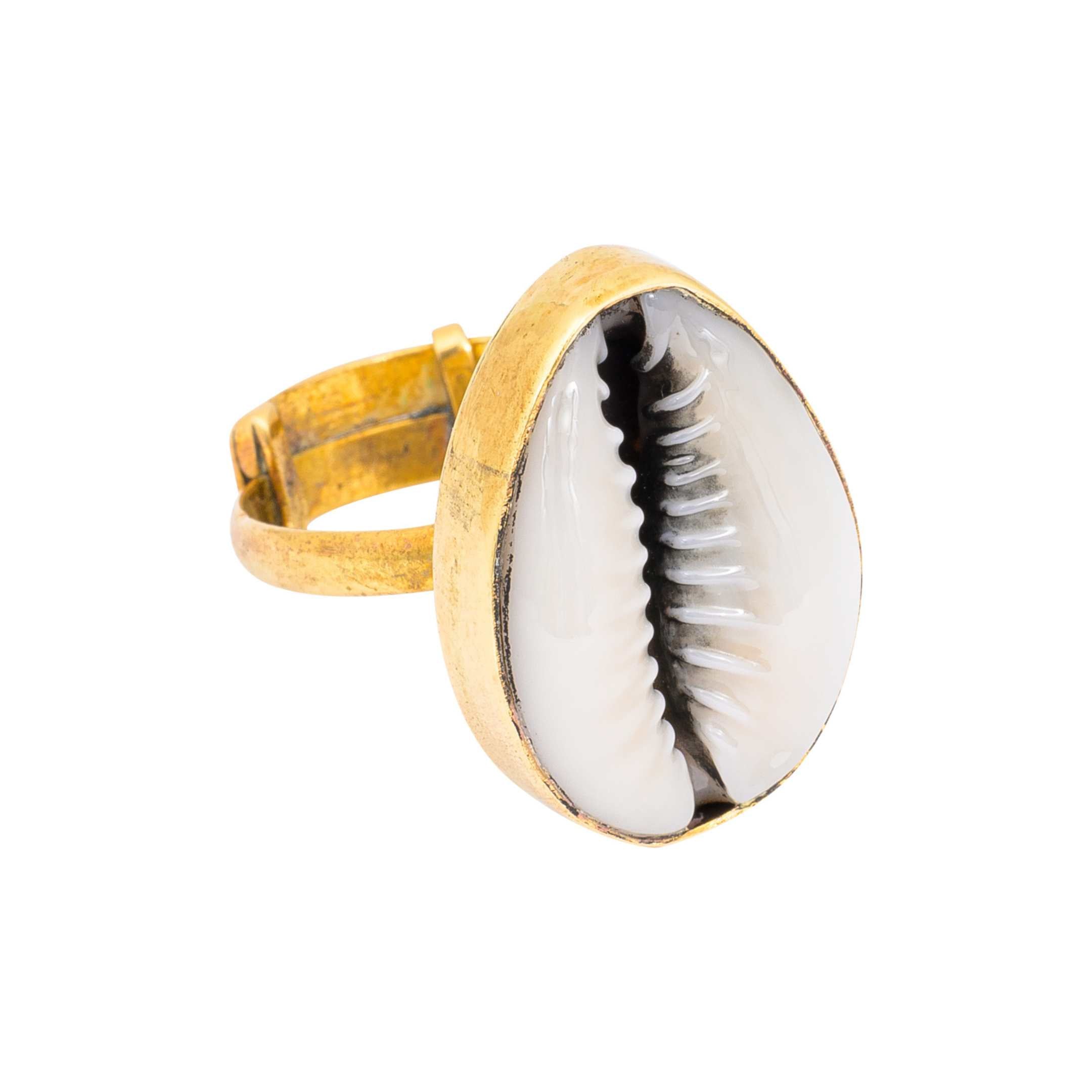Cowrie Shell Recycled Brass Adjustable Ring
